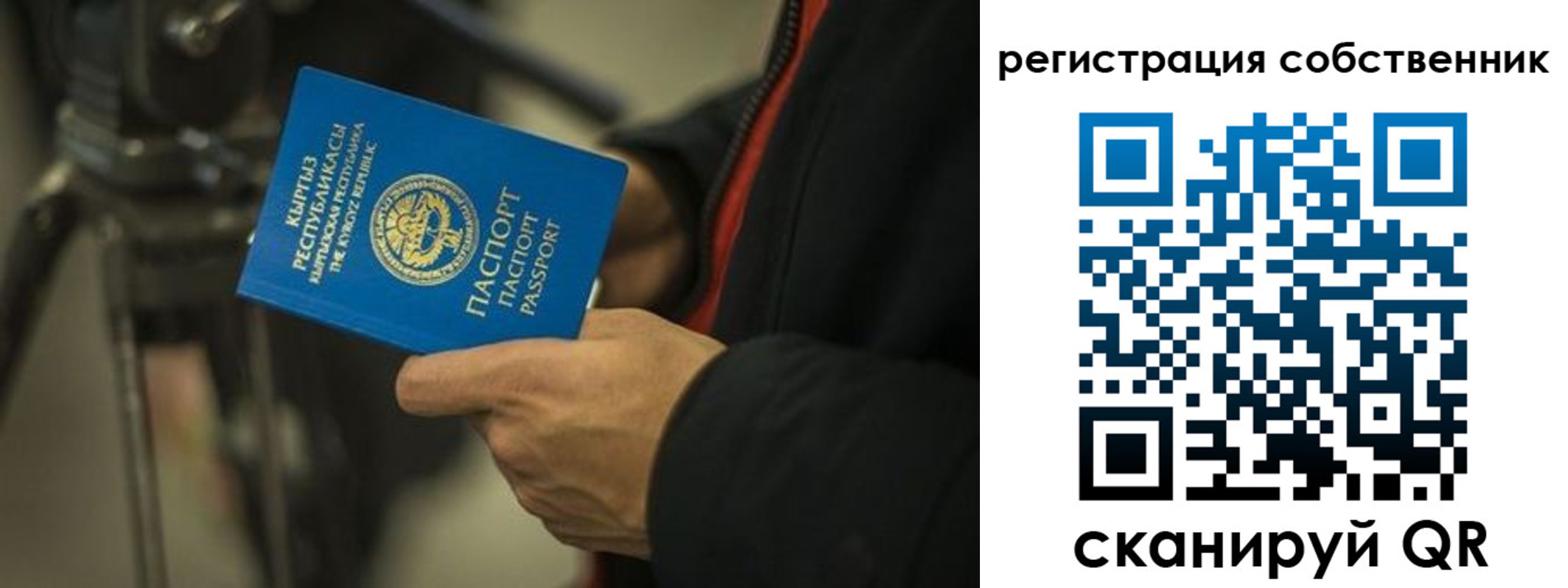 временная регистрация поиск в Клинцах